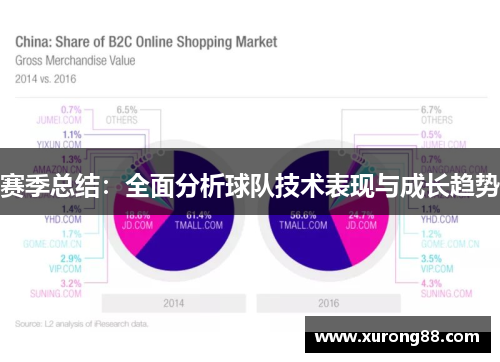 赛季总结：全面分析球队技术表现与成长趋势