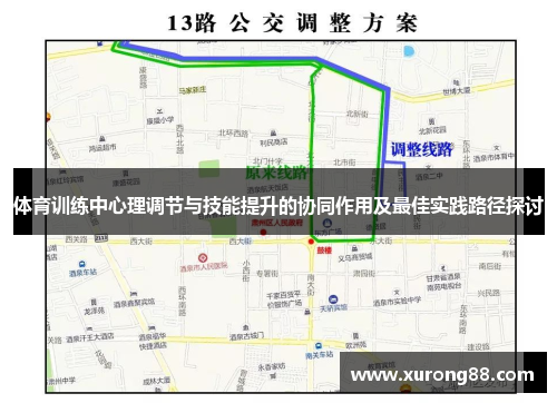 体育训练中心理调节与技能提升的协同作用及最佳实践路径探讨