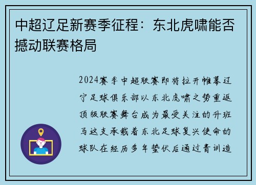 中超辽足新赛季征程：东北虎啸能否撼动联赛格局